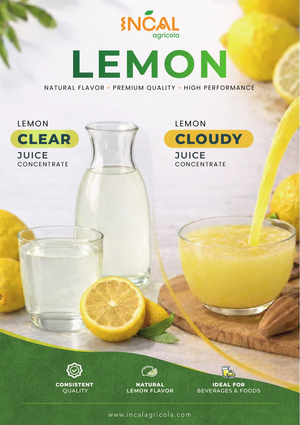Lemon Juice Concentrates promotion cover